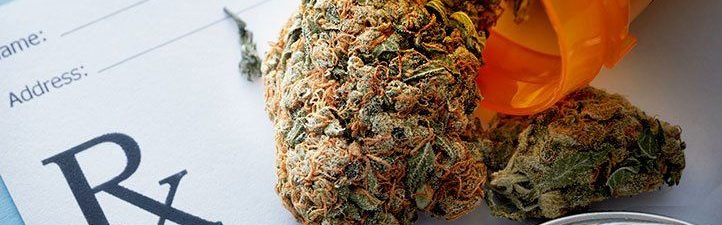 cannabis seeds canada